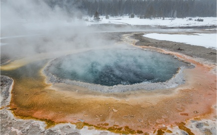 Crested Pool