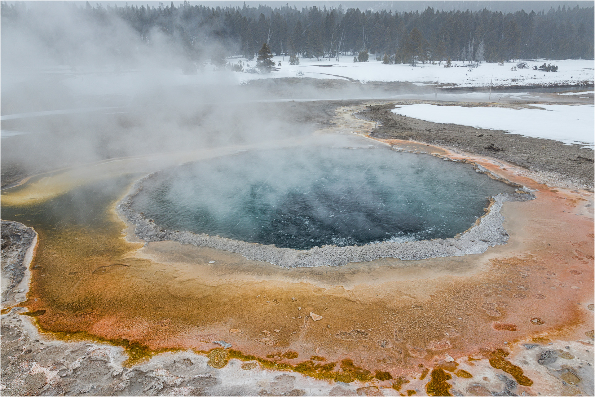 Crested Pool