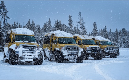 Snow Coaches In Snow