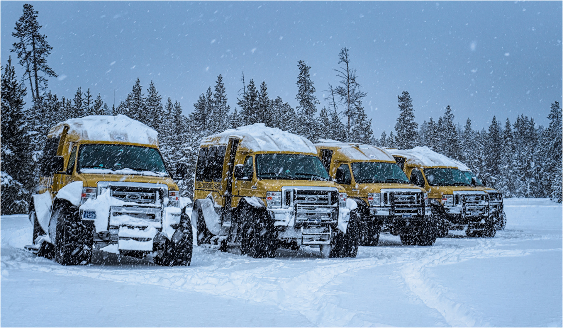 Snow Coaches In Snow