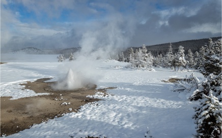 Twig Geyser in Morning Light