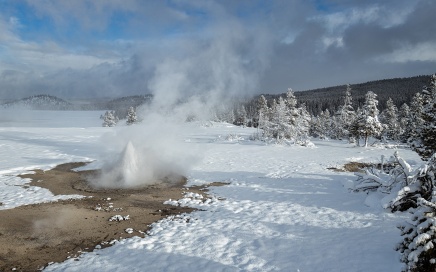 Twig Geyser - Header