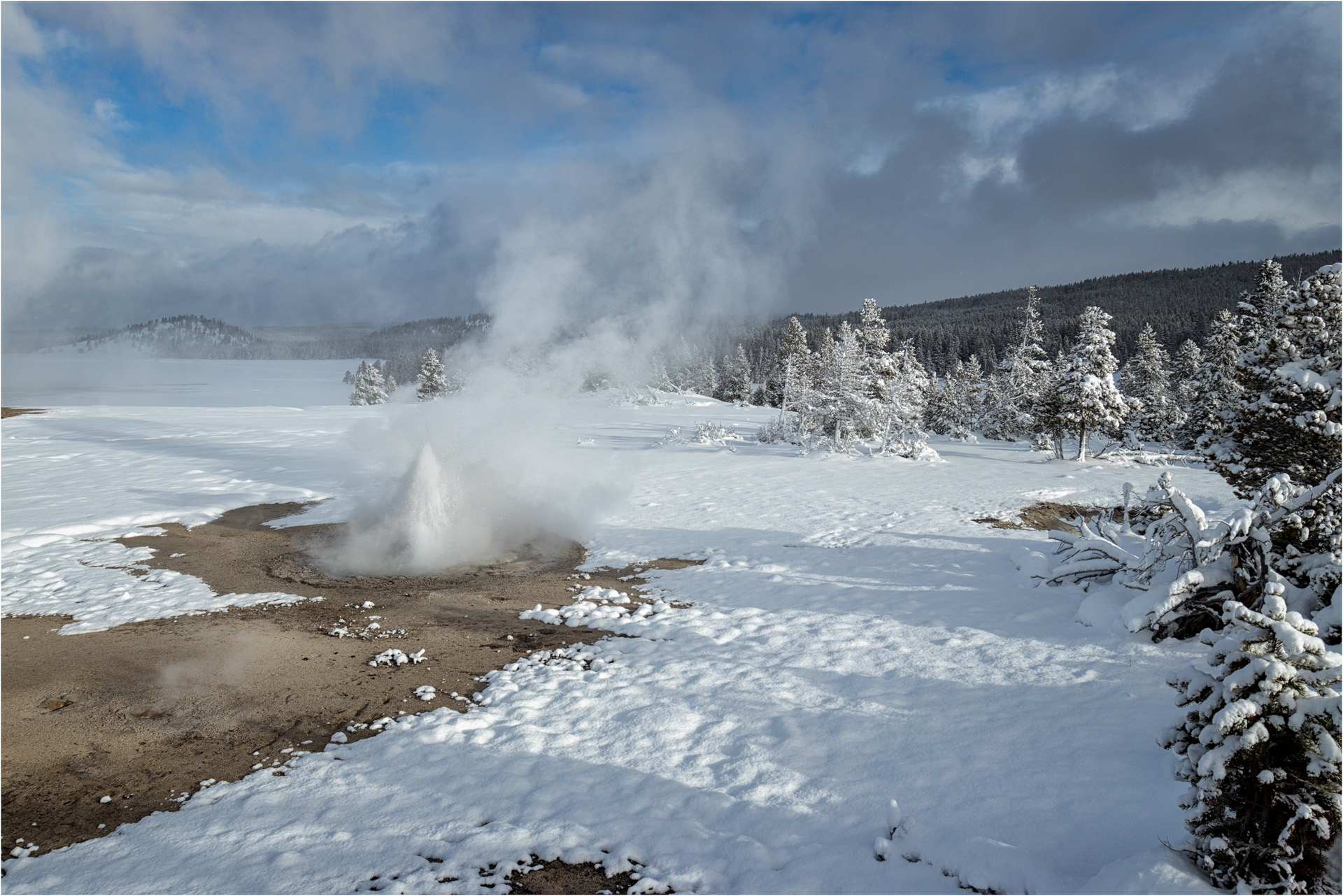Twig Geyser in Morning Light