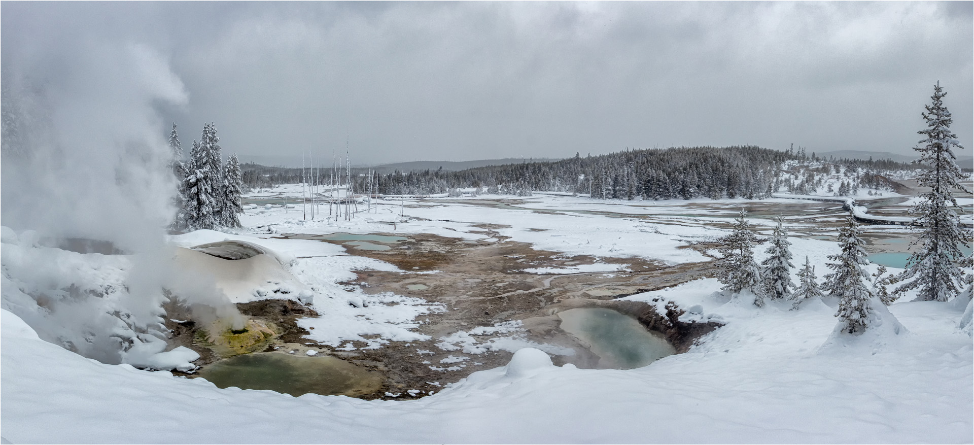 Norris Geyser Basin