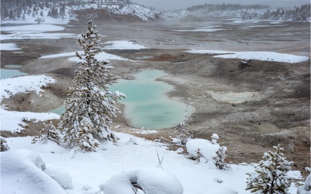 Norris Geyser Basin