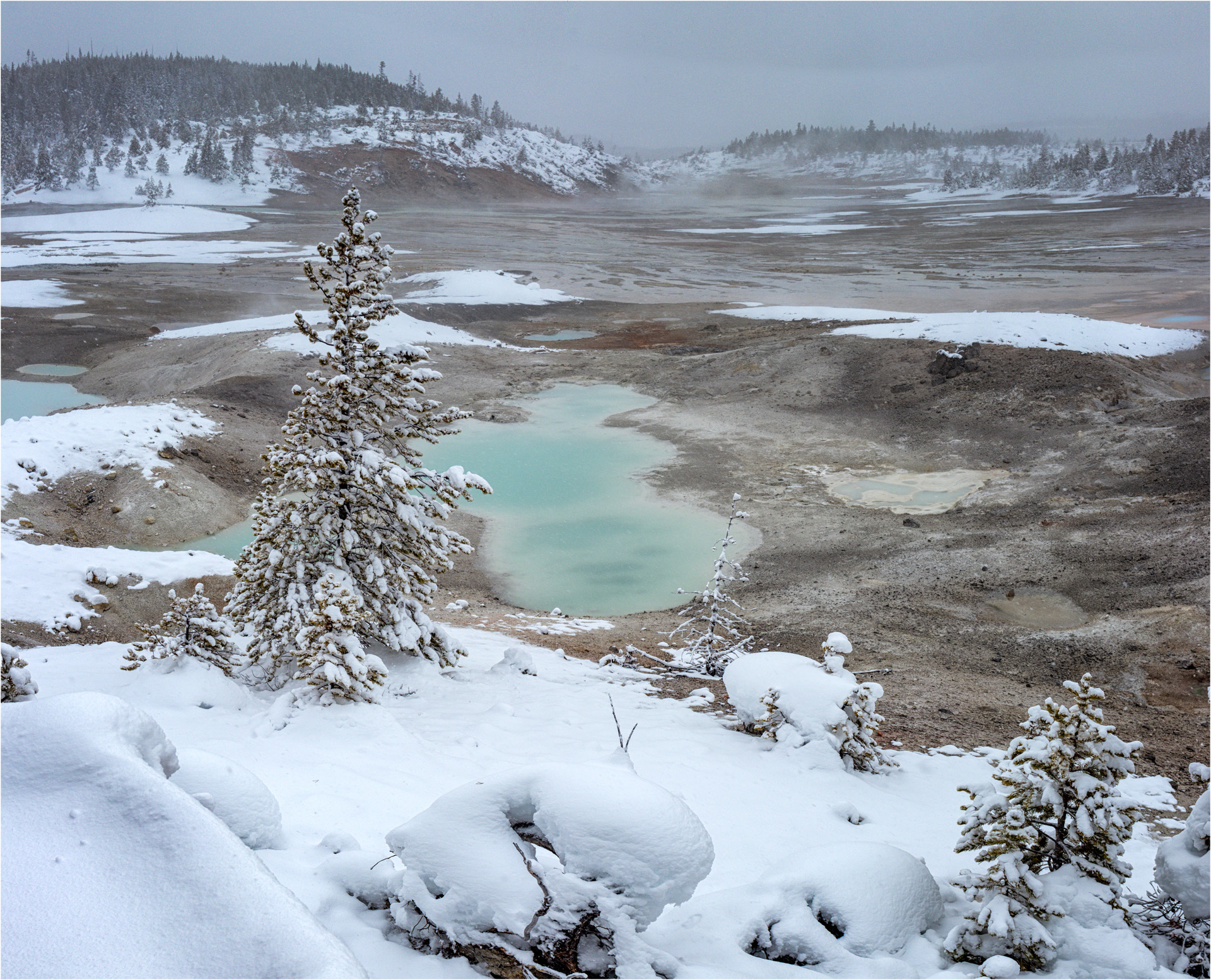 Norris Geyser Basin