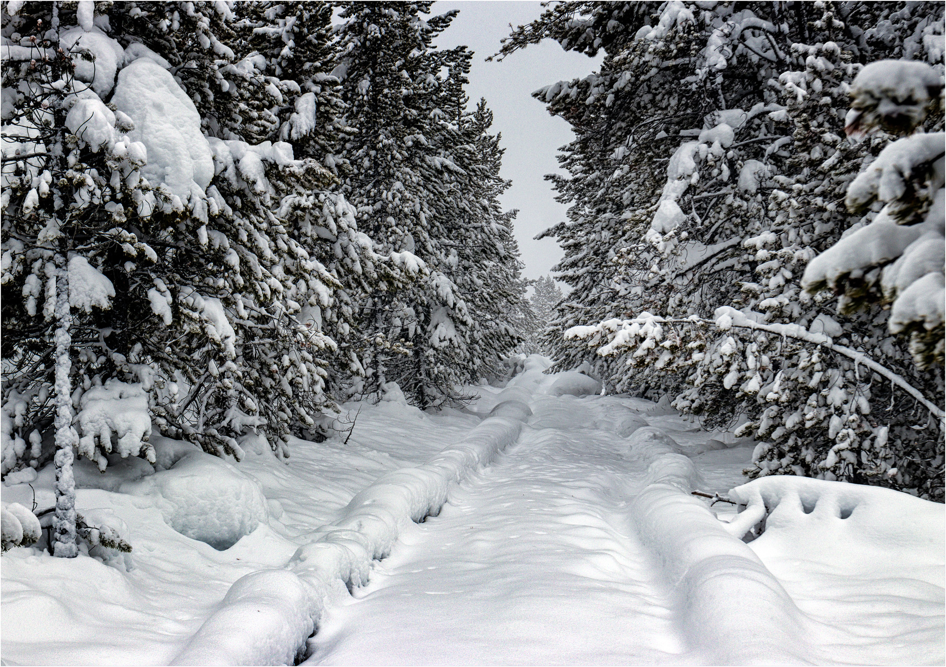 A Path Less Trodden