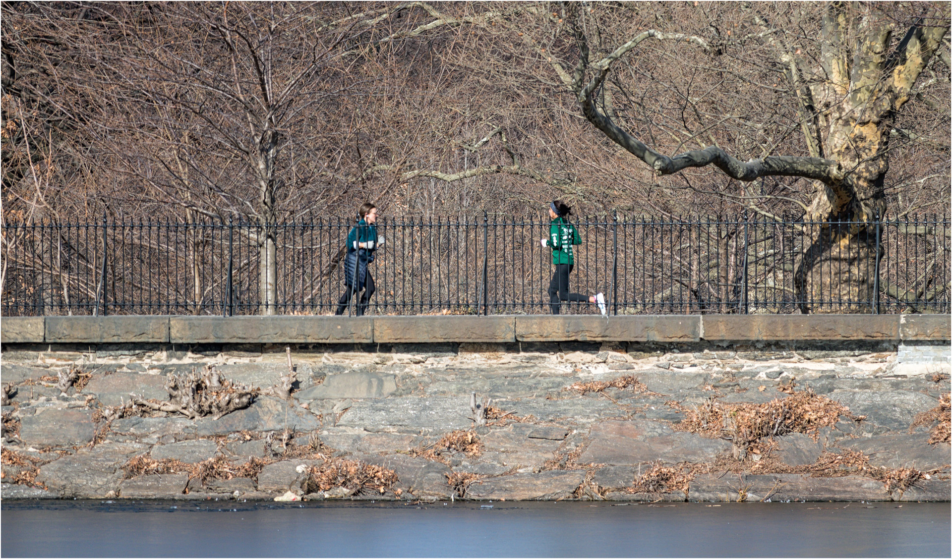 Central Park Joggers
