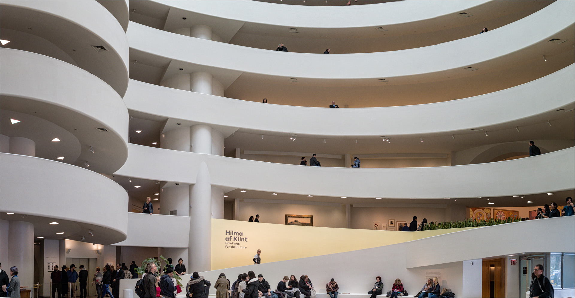 The Guggenheim Museum