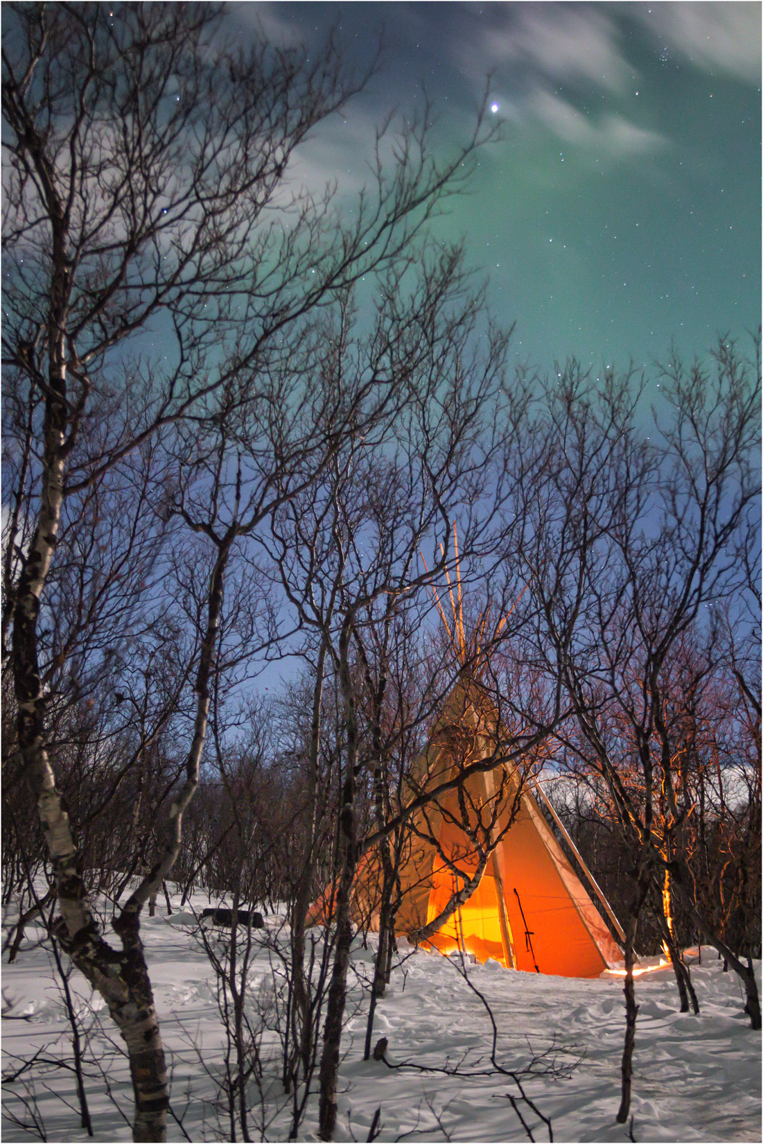 The Tent In The Forest