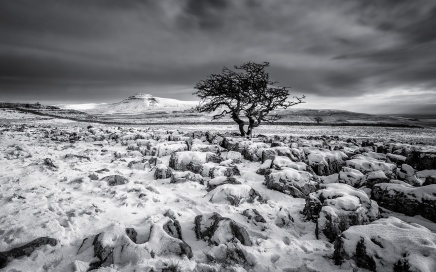 Ingleborough From Twistleton Scar