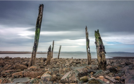 Ruined Timbers on Lidisfarne