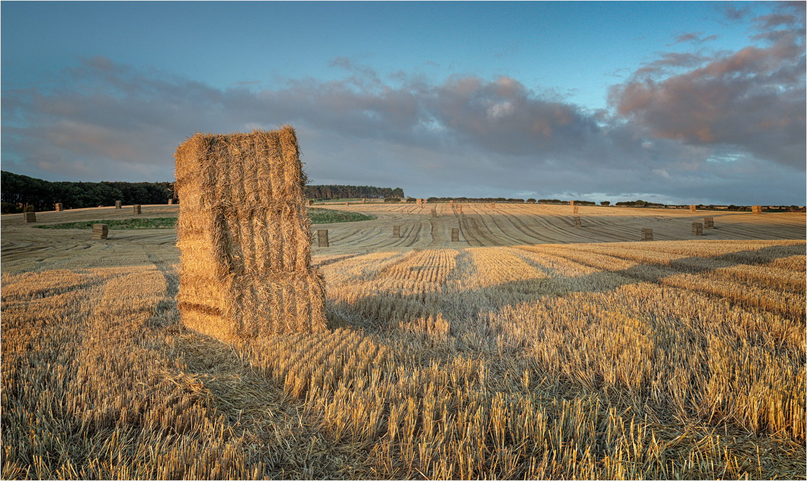 Hay Bales near Dunstanburgh