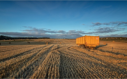 Hay Bales near Dunstanburgh