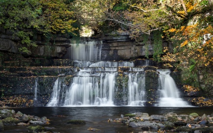 Cotter Force