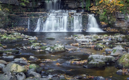 Cotter Force