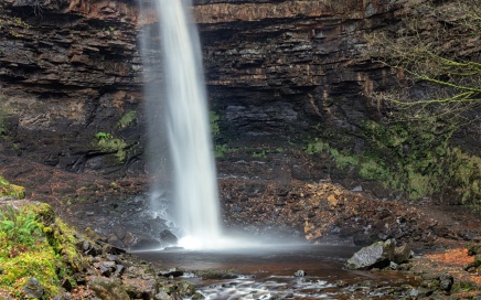 Hardraw Force