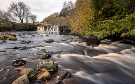 Wain Wath Force