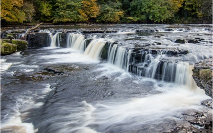 Upper Aysgarth Falls