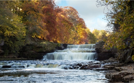 Lower Aysgarth Falls From Below