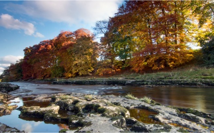 The River Ure At Aysgarth