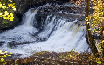 Aysgarth Middle Falls