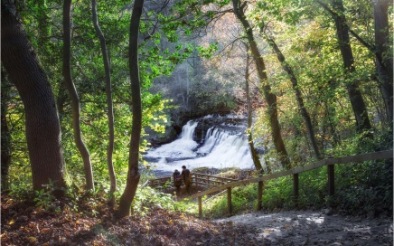 Aysgarth Middle Falls