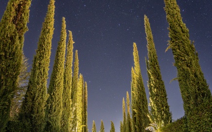 Driveway at Borgo Argiano