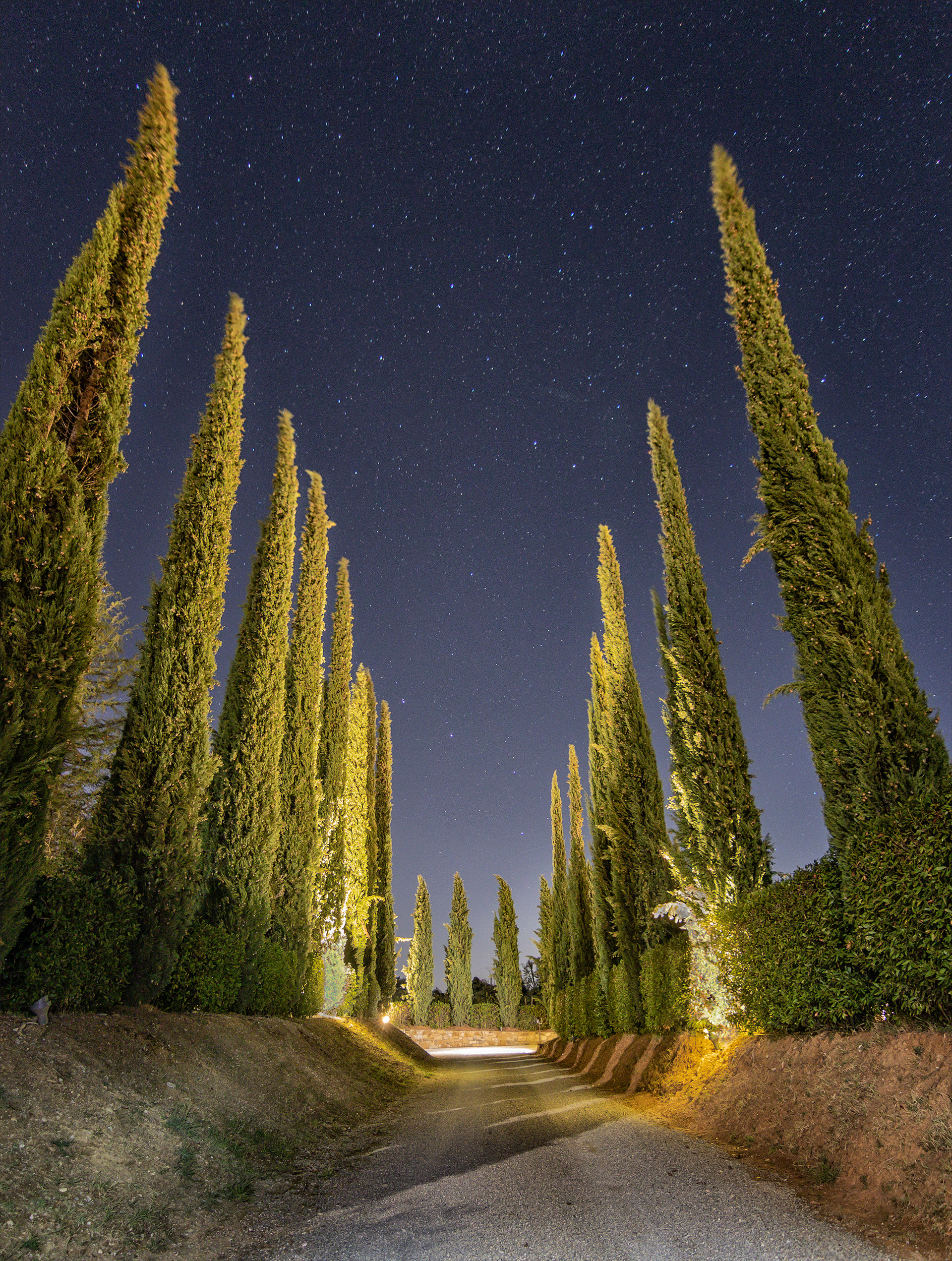 Driveway at Borgo Argiano