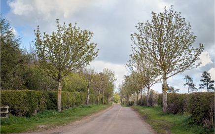 The Road Near Duddo