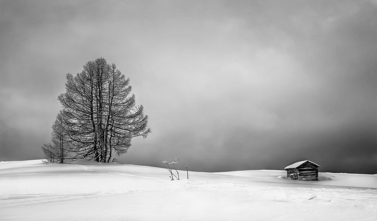 Tree And Barn - Score: 24pts