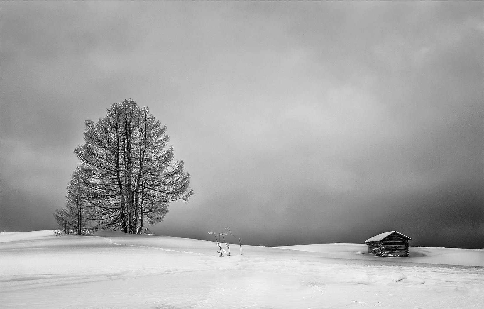 Tree And Barn - Score: 21pts