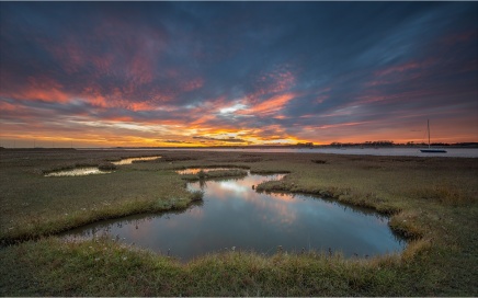 Salt Marshes At Sunset